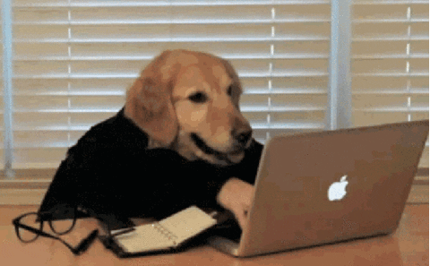 1610763149824.gif