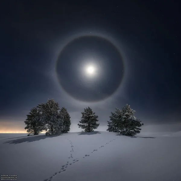 1612176702525.webp
