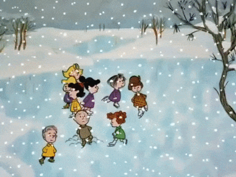 1612233213456.gif