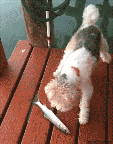 1614823670332.gif