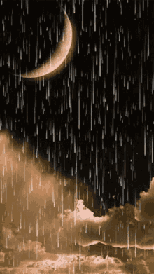 1617244813477.gif