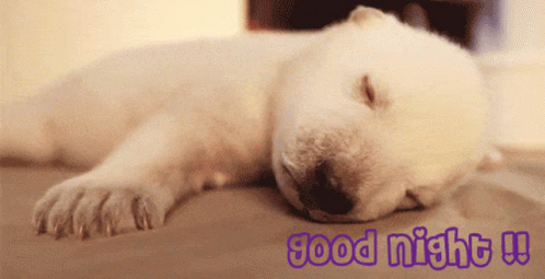1618104655547.gif