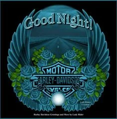 1621389029646.webp