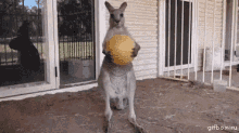 1621647401271.gif