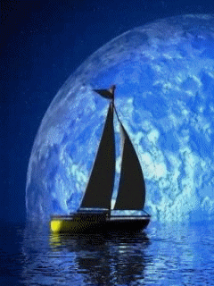 1623289151396.gif