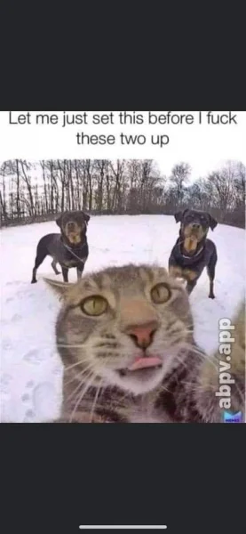 1623893871943.webp