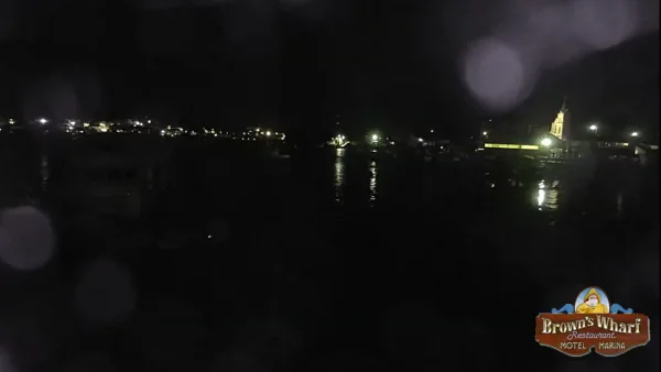 1624089879516.webp