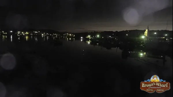 1624261503441.webp