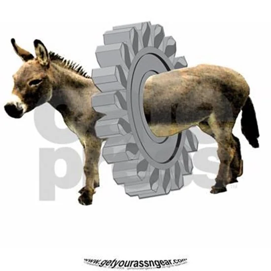 1625358725049.webp