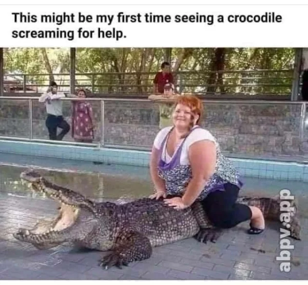 1626917491982.webp