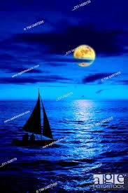 1628043473990.webp