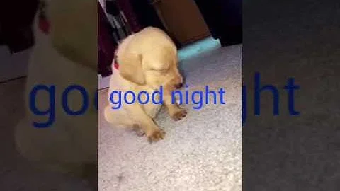 1628464404279.webp