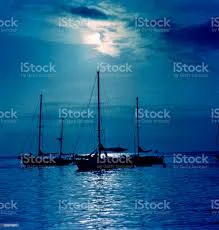 1628733730822.webp