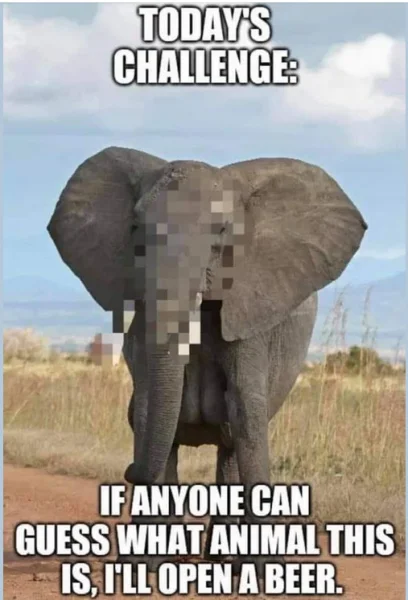 1628879051131.webp