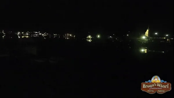1629013501496.webp