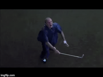 1629501275160.gif