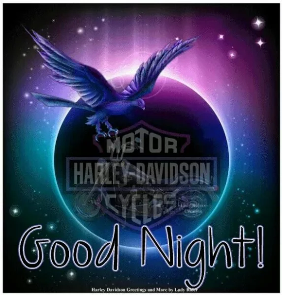 1631757245245.webp