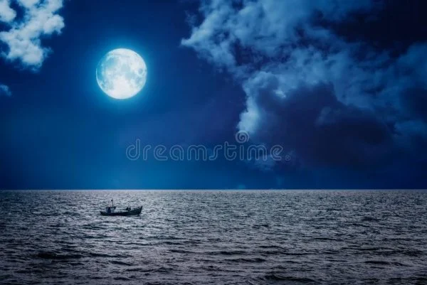 1631841555913.webp