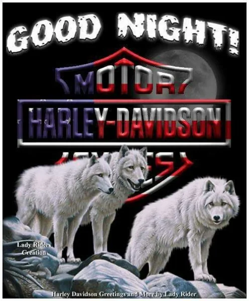 1632275932756.webp
