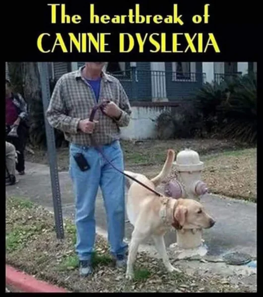 1632745246394.webp