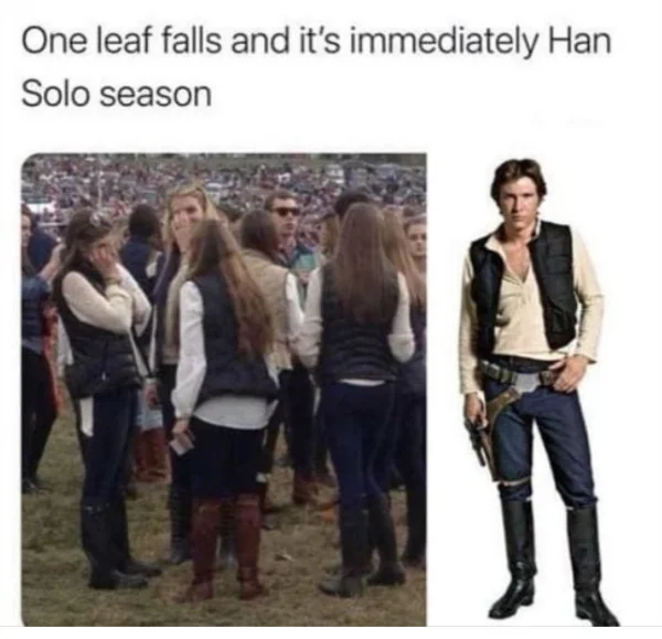 1632832421065.png