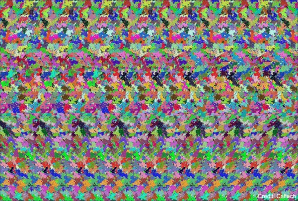 1633304139943.webp