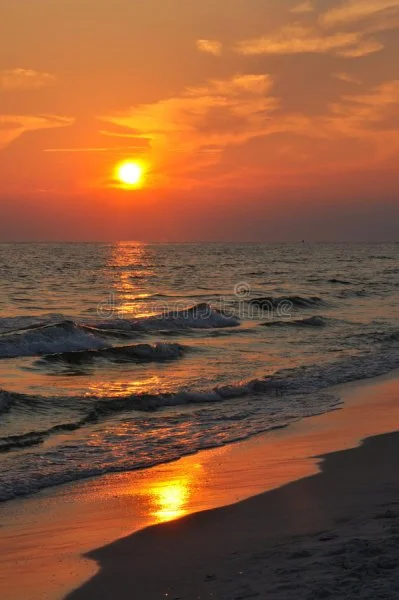 1633572591625.webp