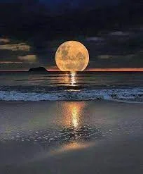 1635731889962.webp