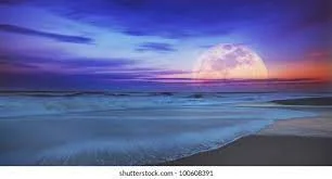 1635905726735.webp