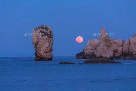 1636164551489.webp