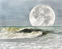 1636515040171.webp