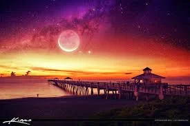 1636771167363.webp
