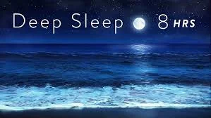 1638071049704.webp