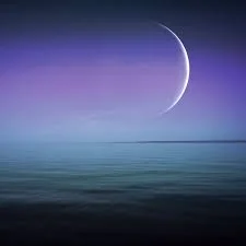 1638499486346.webp