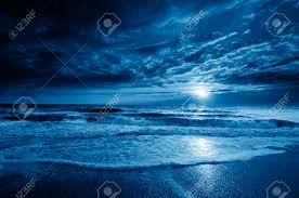 1638673965384.webp