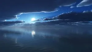 1638760389586.webp