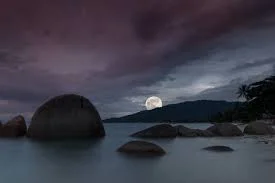 1639019922749.webp
