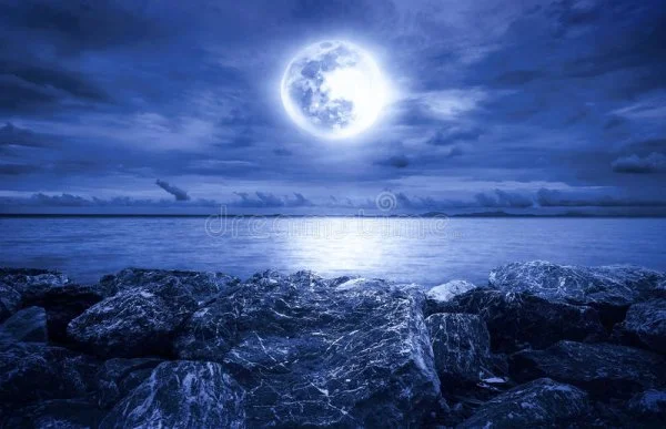 1641008976558.webp