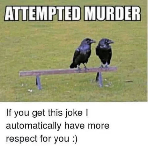 1642215249180.webp