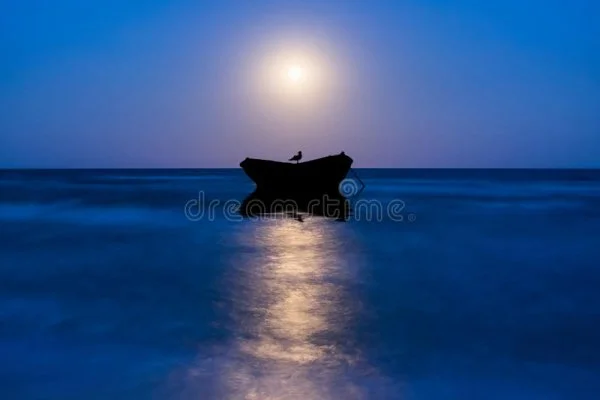 1643684156344.webp