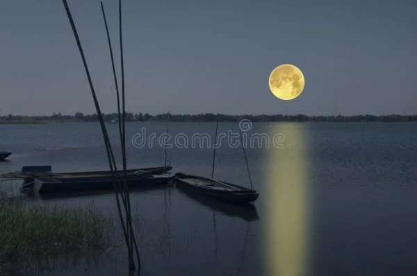 1644549487506.webp