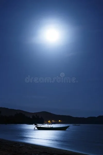 1644634493851.webp