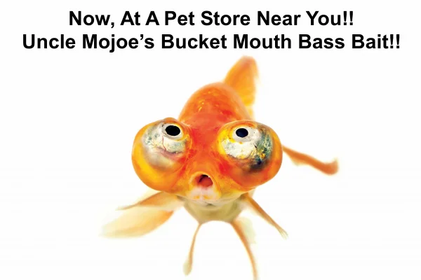 1644672062006.webp