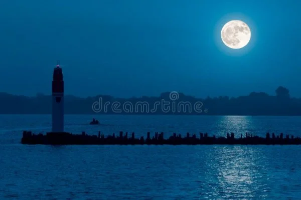 1645154395086.webp