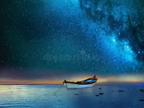 1645238205716.webp