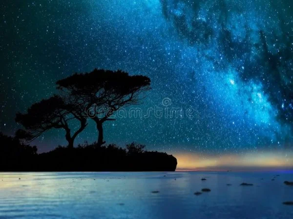 1645584703159.webp