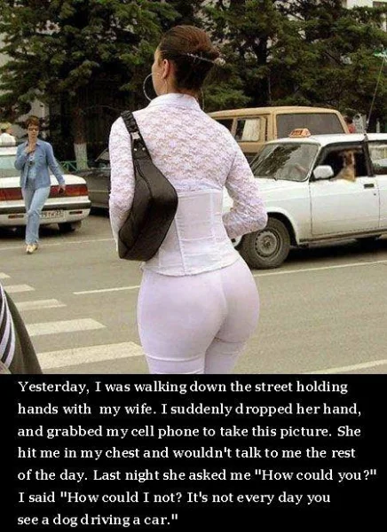 1645617154954.webp