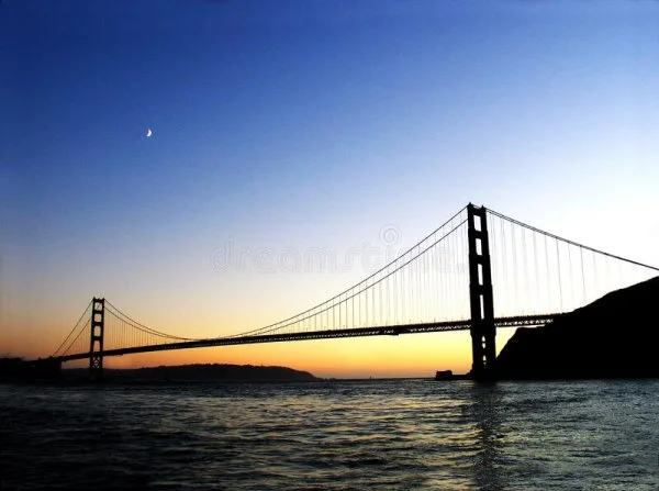 1645842636566.webp