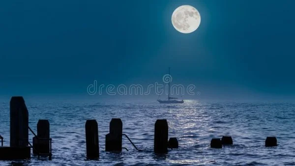 1647139827141.webp