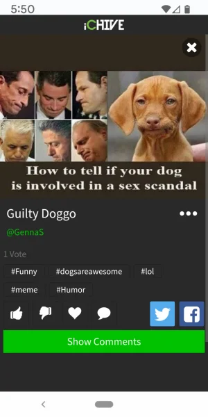 1649371861512.webp